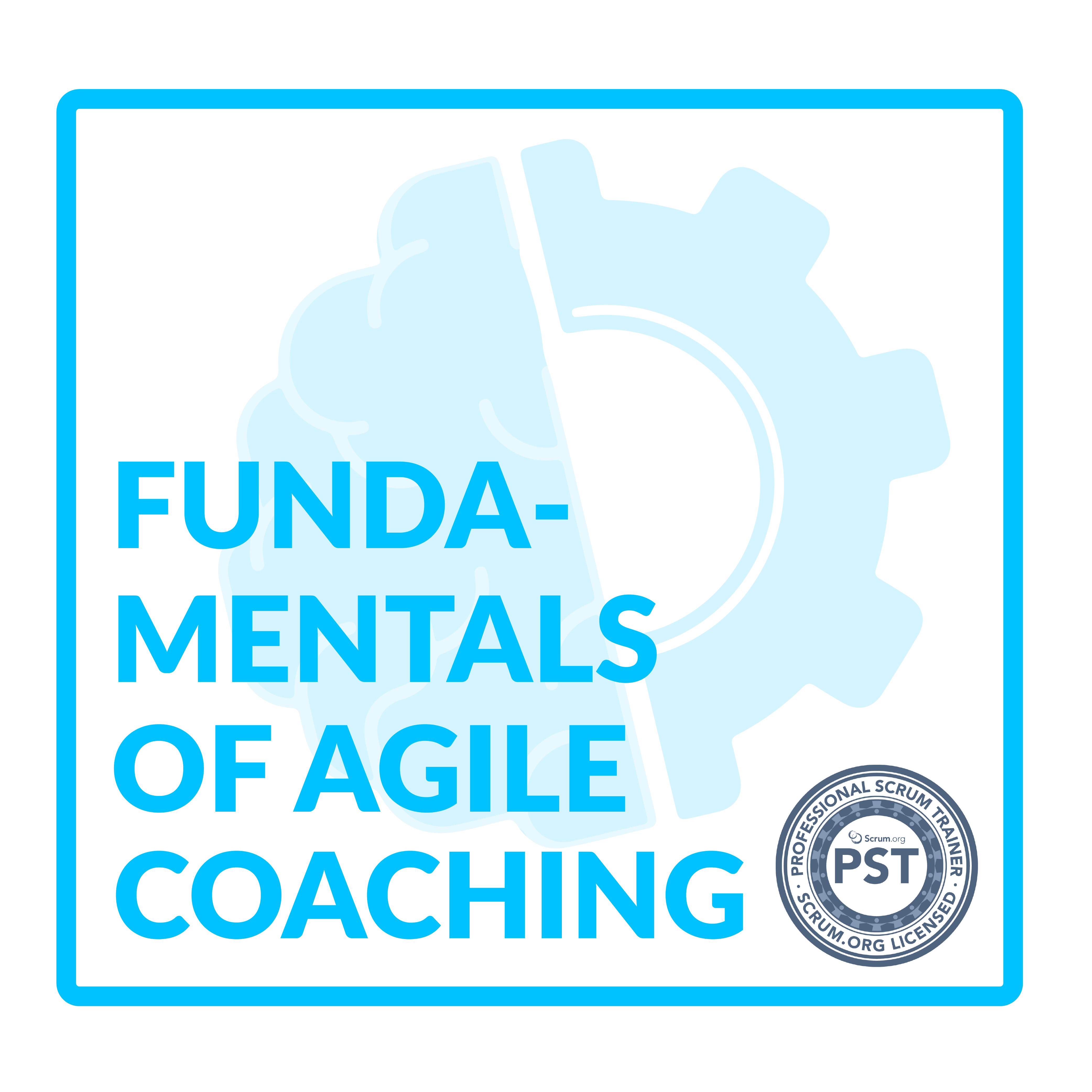 Fundamentals of Agile Coaching Online Course