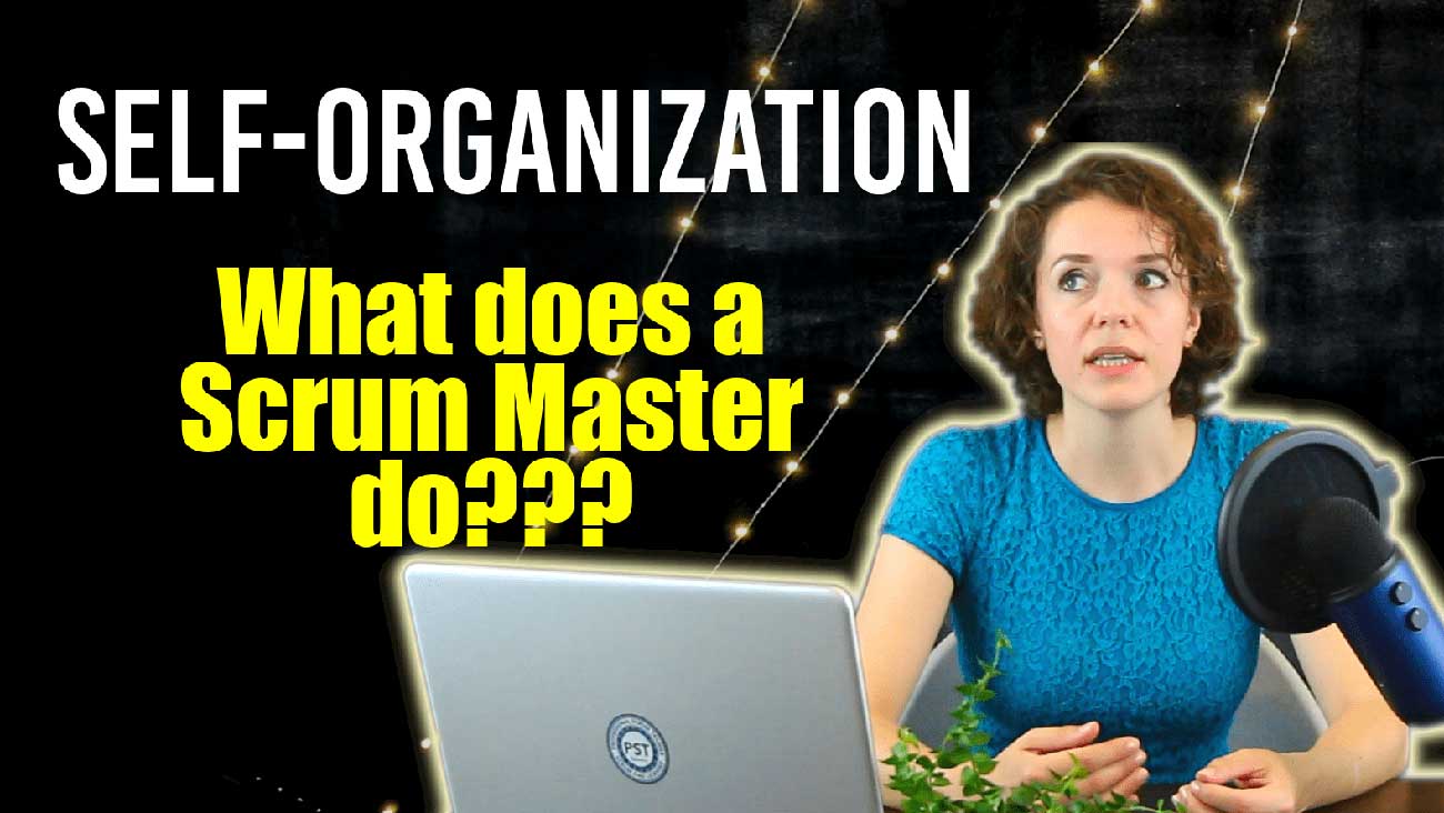 Self-Organization and the role of a Scrum Master - ScrumMastered